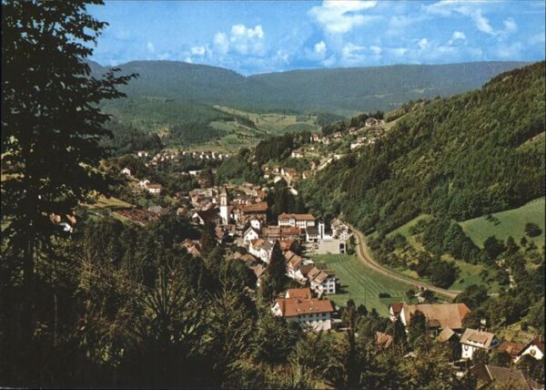 Bad Peterstal-Griesbach Panorama