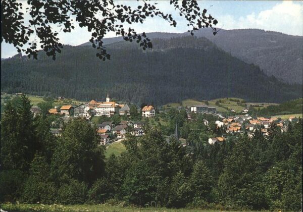 Bodenmais Panorama