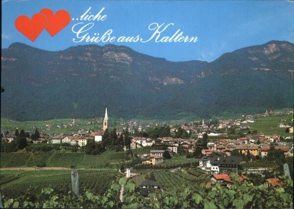 Kaltern Weinstrasse Tirol Panorama Wein