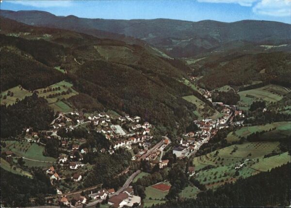 Bad Peterstal-Griesbach Fliegeraufnahme