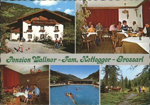 Grossarl Pension Wallner Schwimmbad Kuh