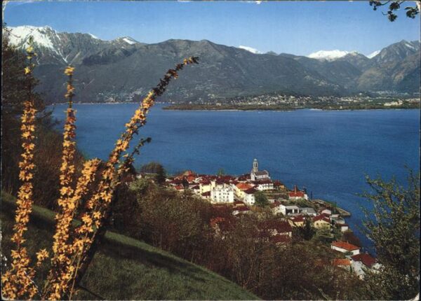 Gambarogno TI Lago Maggiore Alpenblick