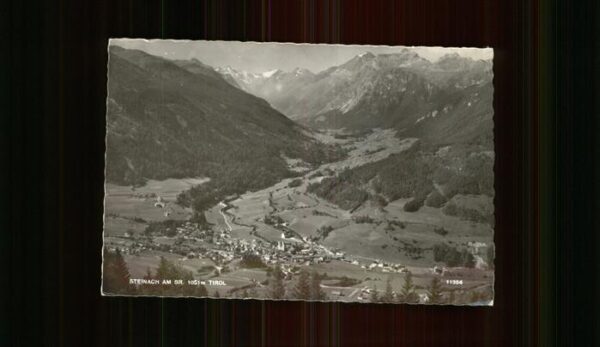 Steinach Brenner Tirol Panorama mit Alpen