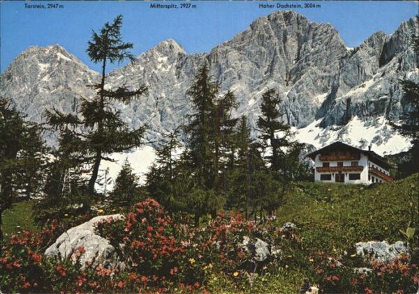 Ramsau Dachstein Steiermark Berghotel Türlwand mit Dachsteinsüdwand