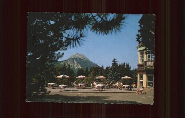 Goesing Alpenhotel Gösing Terrasse