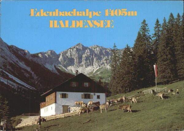 Haldensee Edenbachalpe