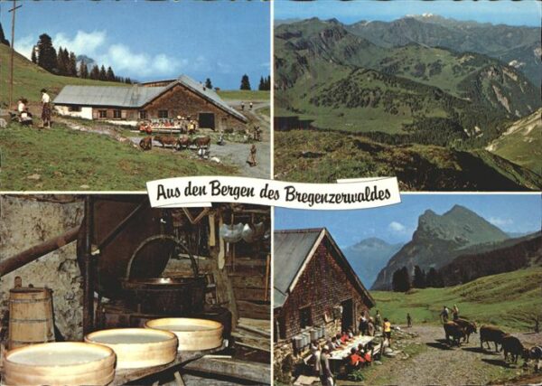 Mellau Vorarlberg Panorama mit Wildguntenalpe Käserei