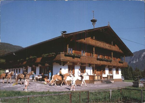Wildschoenau Tirol Pension Jugendheim Schwaighof
