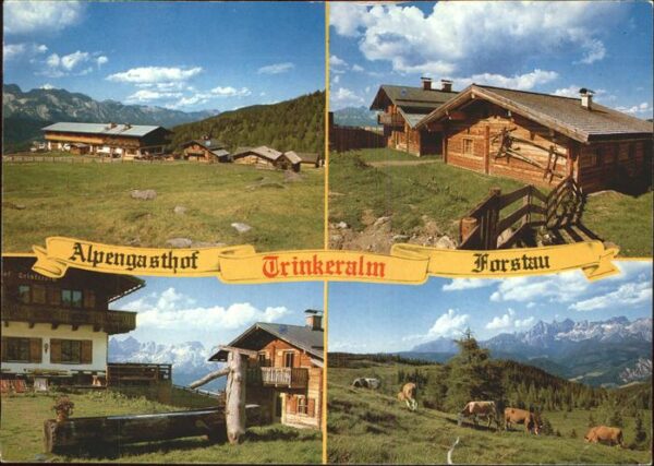 Forstau Alpengasthof Trinkeralm Brunnen Viehher