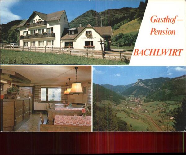 Schwarzau Gebirge Gasthof Pension Bachlwirt Panorama