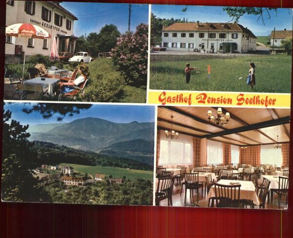 Prigglitz Gasthof Pension Seelhofer Gastraum Terr