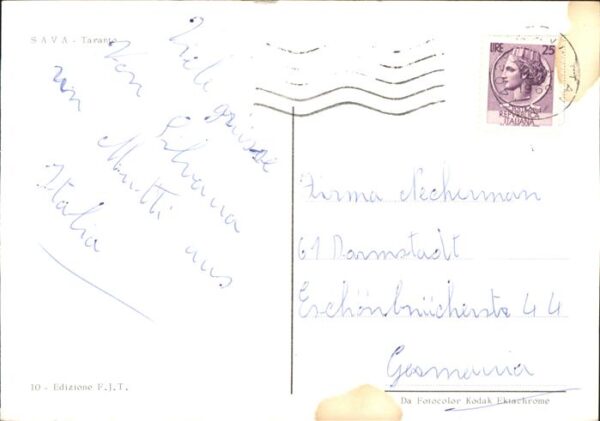 Sava Saluti Weintrauben – Bild 2