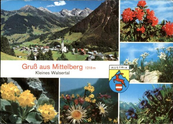 Mittelberg Kleinwalsertal Wappen Blumen