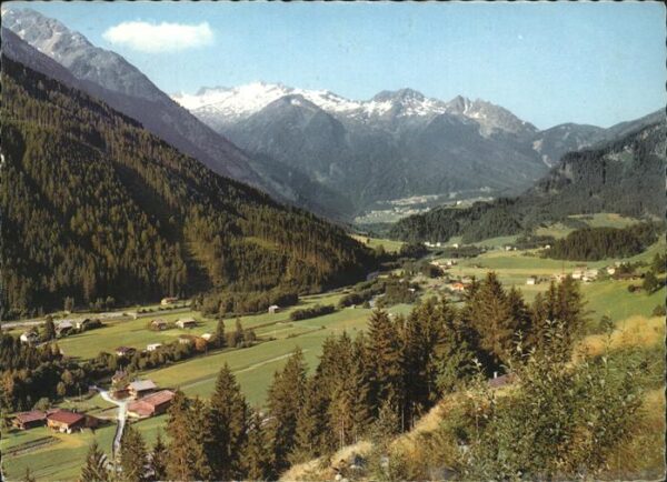 Wald Pinzgau Luftkurort