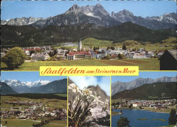 Saalfelden Steinerne Meer Edelweiss Saalfelden Kitzsteinhorn Stra