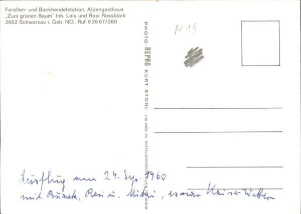 Schwarzau Gebirge Forellen Backhendelstation Alpengasthof – Bild 2
