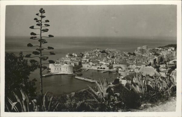 Dubrovnik Ragusa Panorama Hafen