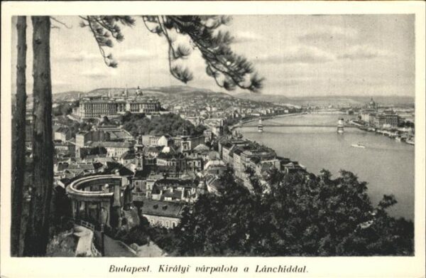 Budapest Kiralyi varpalota a Lanchiddal Königlic