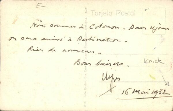 Tenerife Motivo Baumallee – Bild 2