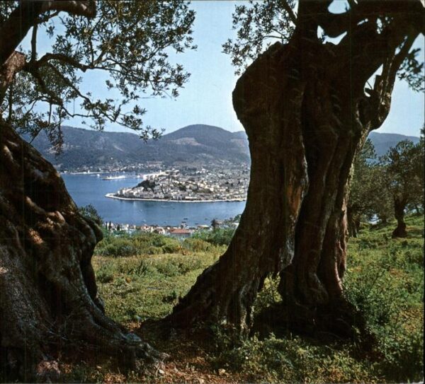 Poros Teilansicht alte Bäume