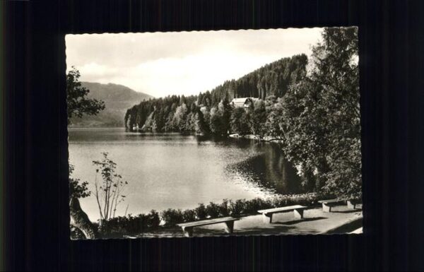 Titisee Uferpartie