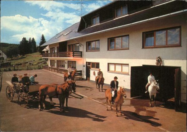 Hinterhaeuser Park Hotel Glöcklehof Pferdekutsche Rei