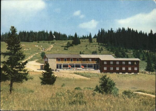 Feldberg Schwarzwald Berghotel Herzogenhorn