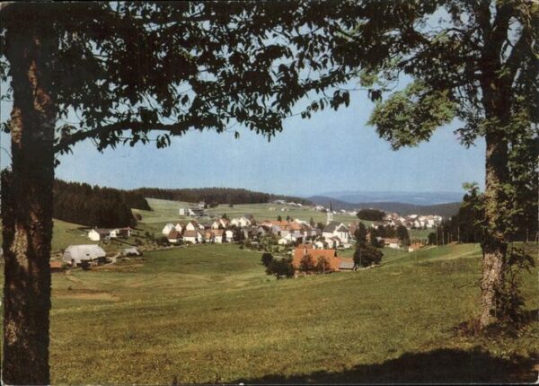 Schoenwald Schwarzwald Panorama Höhenluftkurort Wintersportpla