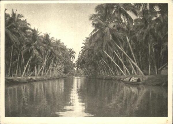 Indien Kokoswald Binnensee Malabarküste Atlant
