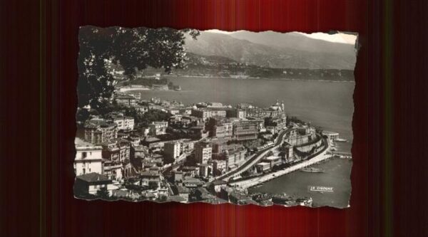 Monte-Carlo Panorama