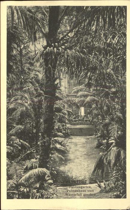 Frankfurt Main Palmengarten Wasserfall Palmenhaus