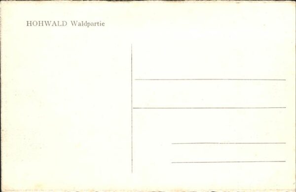 Hohwald Sachsen Waldpartie – Bild 2