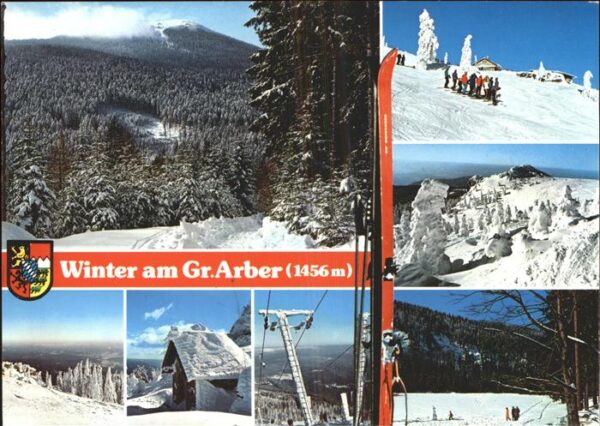 Arber Grosser Arber Ski Wappen