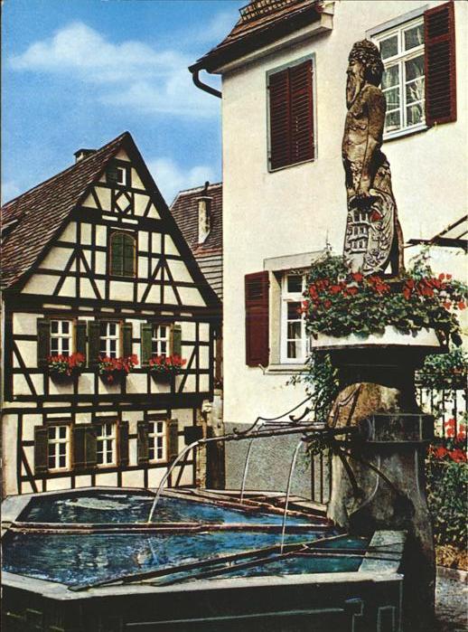 Marbach Neckar Wilder Mann Brunnen