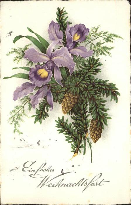 Weihnachten Tannenzapfen Blumen
