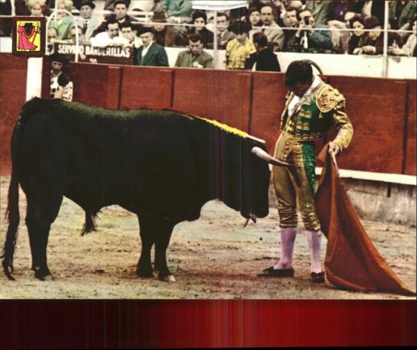Stierkampf Corrida de toros un desplante