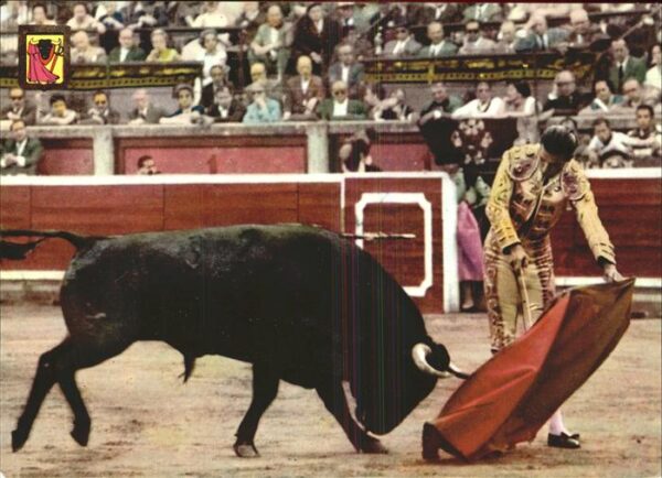 Stierkampf Corrida de toros un natural Faena de mu