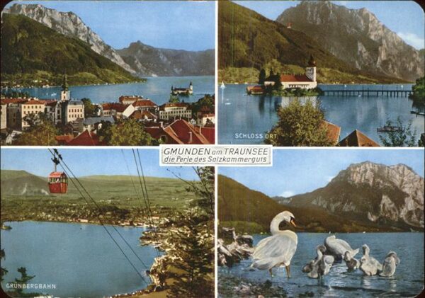 Schwan Gmunden Traunsee Seilbahn Grünberg Schl