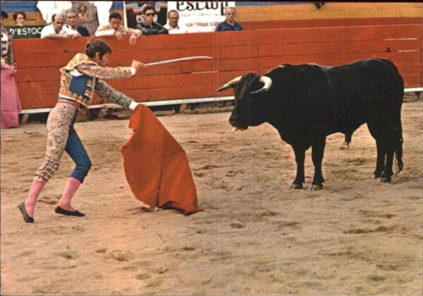 Stierkampf Toros entrando a matar