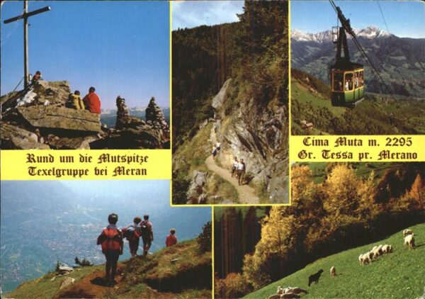 Seilbahn Mutspitze Texelgruppe Meran Schafe