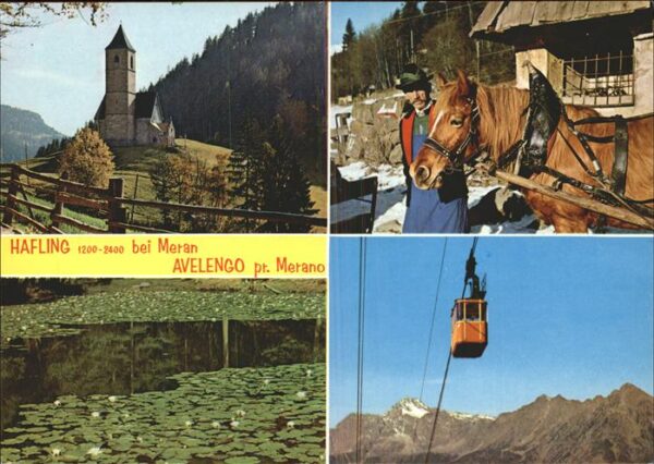 Pferde Seilbahn Hafling Meran Avelengo Merano