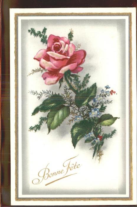 Rose Bonne Fete