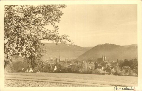 Amorbach Miltenberg