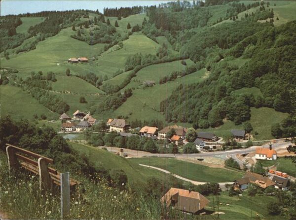 Muenstertal Schwarzwald Blick auf Spielweg