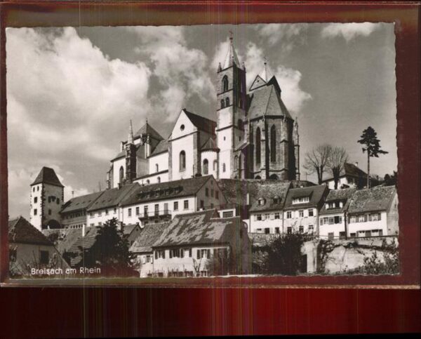 Breisach Rhein mit Münster