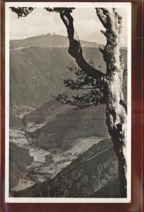 Feldberg Schwarzwald Wilhelmstal