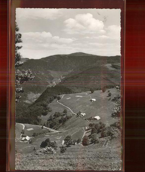 Schauinsland Blick über Hofsgrund