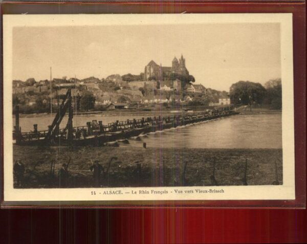 Breisach Rhein Blick von Frankreich aus