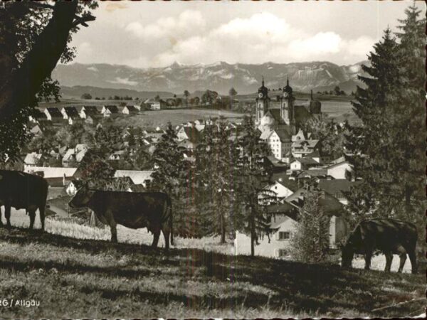Lindenberg Allgaeu Panorama mit Alpenblick Kirche Kuh Höhe