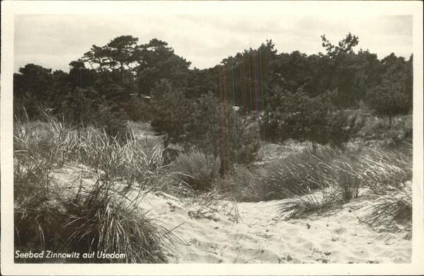 Zinnowitz Ostseebad Usedom Dünen